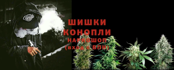 эйфоретик Бородино