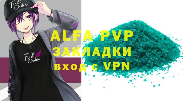 эйфоретик Бородино