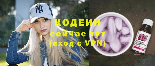 эйфоретик Бородино